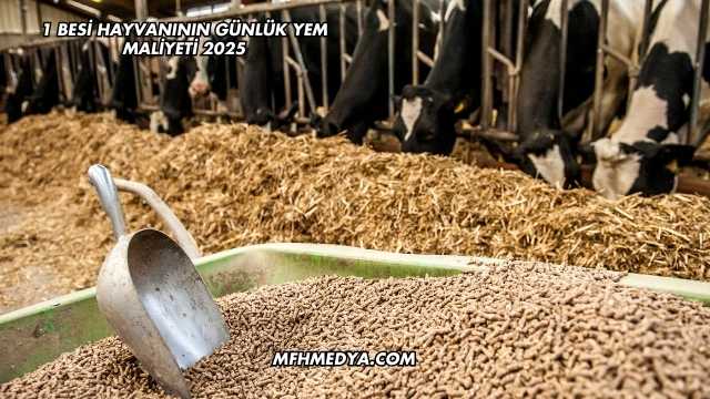 1 Besi Hayvanının Günlük Yem Maliyeti 2025