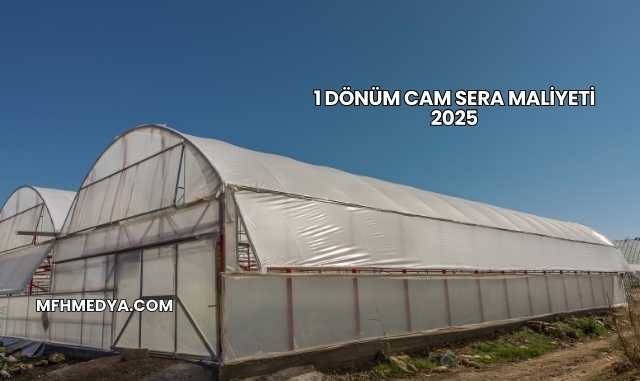 1 Dönüm Cam Sera Maliyeti 2025