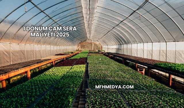 1 Dönüm Cam Sera Maliyeti 2025