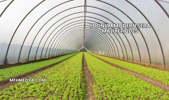 1 Dönüm Modern Sera Maliyeti 2025
