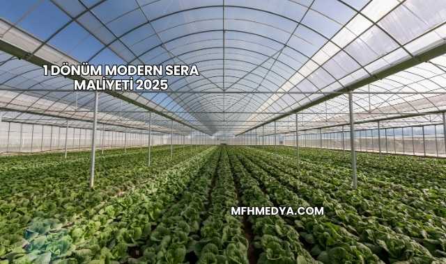 1 Dönüm Modern Sera Maliyeti 2025