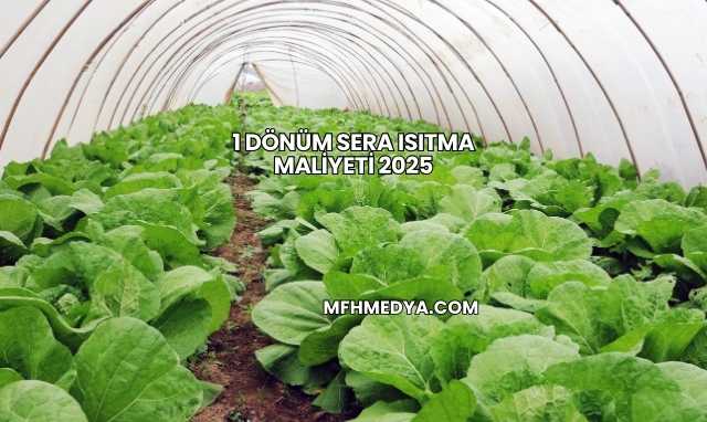 1 Dönüm Sera Isıtma Maliyeti 2025
