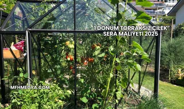 1 Dönüm Topraksız Çilek Sera Maliyeti 2025