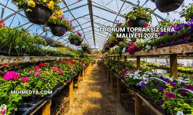 1 Dönüm Topraksız Sera Maliyeti 2025