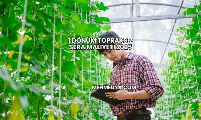 1 Dönüm Topraksız Sera Maliyeti 2025