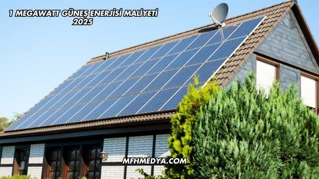 1 Megawatt Güneş Enerjisi Maliyeti 2025