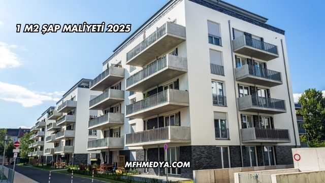 1 m2 Şap Maliyeti 2025
