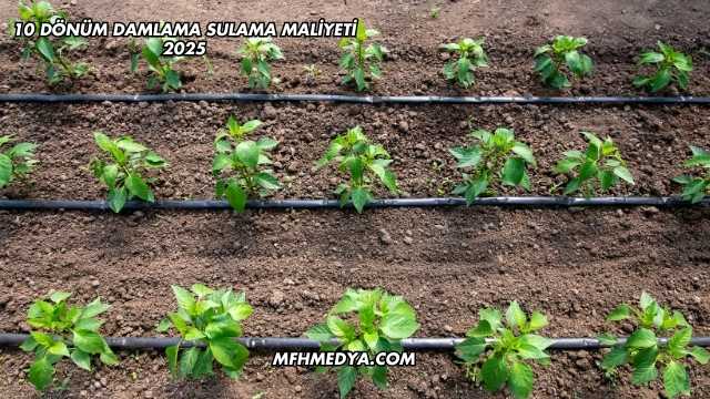 10 Dönüm Damlama Sulama Maliyeti 2025