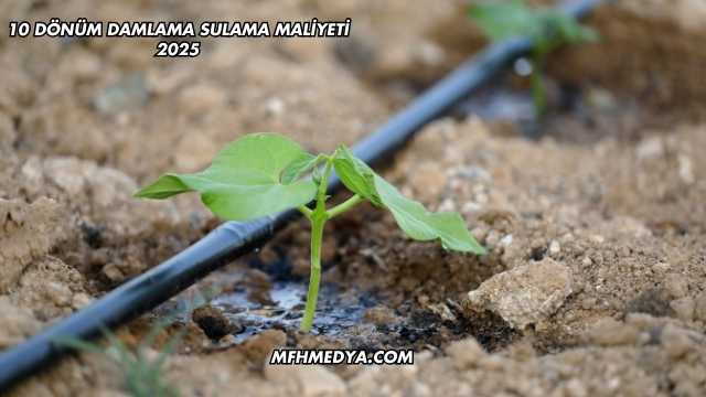 10 Dönüm Damlama Sulama Maliyeti 2025