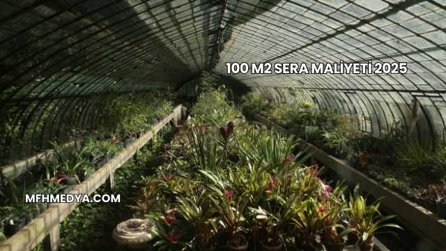 100 m2 Sera Maliyeti 2025