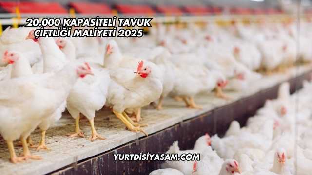 20.000 Kapasiteli Tavuk Çiftliği Maliyeti 2025