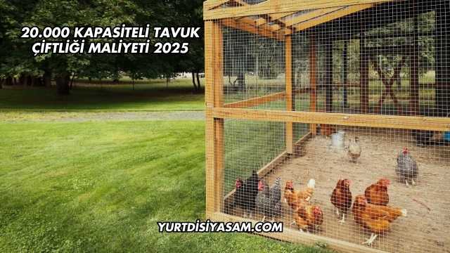 20.000 Kapasiteli Tavuk Çiftliği Maliyeti 2025