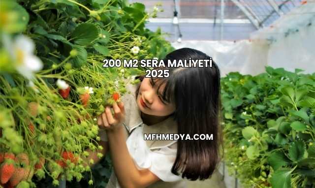 200 M2 Sera Maliyeti 2025