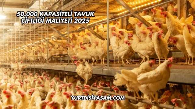 50.000 Kapasiteli Tavuk Çiftliği Maliyeti 2025