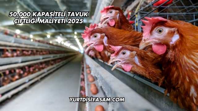 50.000 Kapasiteli Tavuk Çiftliği Maliyeti 2025
