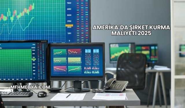 Amerika’da Şirket Kurma Maliyeti 2025
