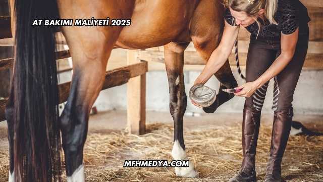 At Bakımı Maliyeti 2025
