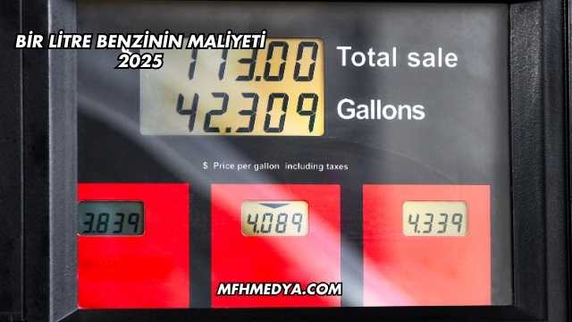Bir Litre Benzinin Maliyeti 2025