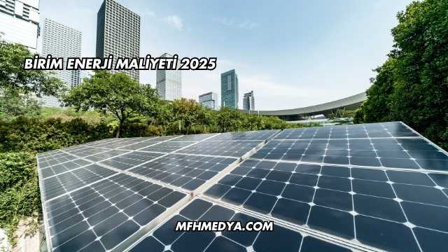 Birim Enerji Maliyeti 2025