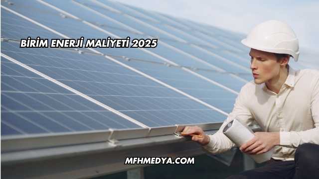 Birim Enerji Maliyeti 2025