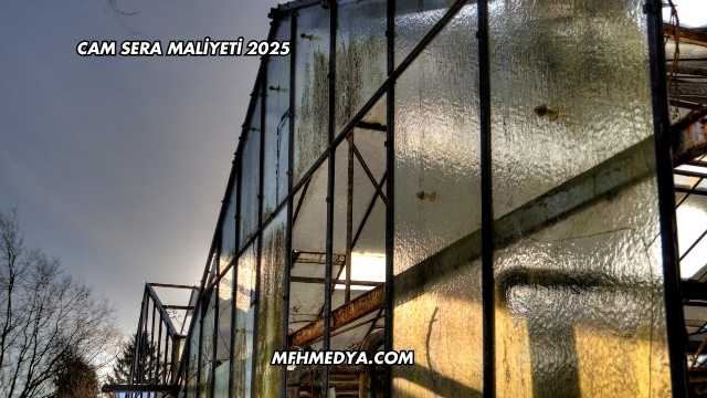 Cam Sera Maliyeti 2025
