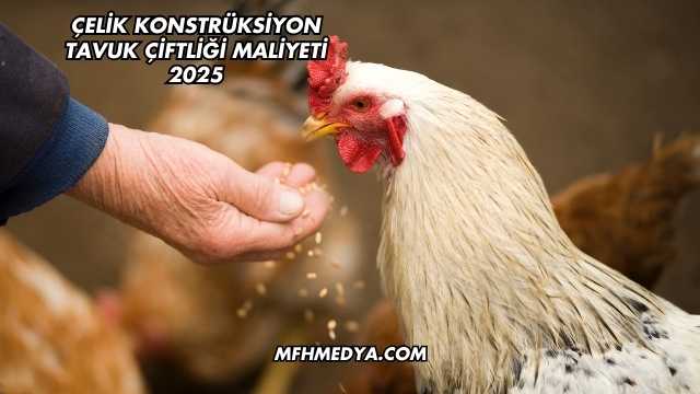 Çelik Konstrüksiyon Tavuk Çiftliği Maliyeti 2025