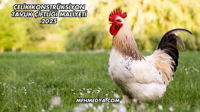 Çelik Konstrüksiyon Tavuk Çiftliği Maliyeti 2025