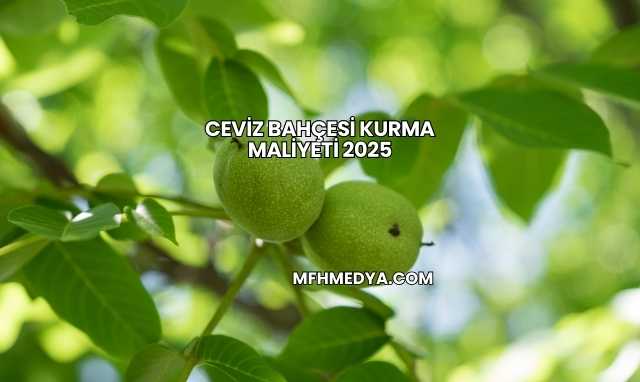Ceviz Bahçesi Kurma Maliyeti 2025