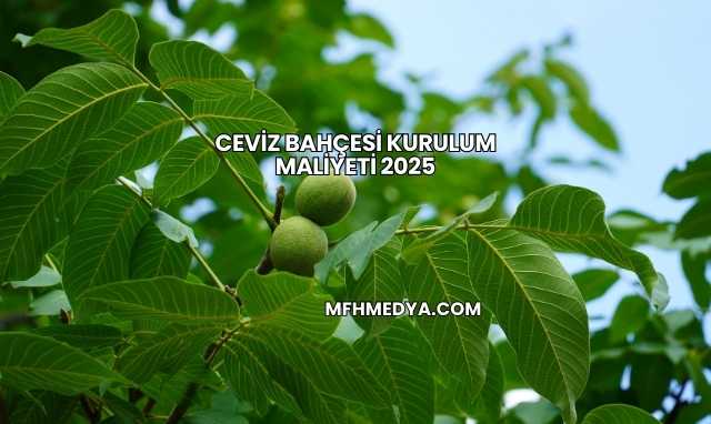 Ceviz Bahçesi Kurulum Maliyeti 2025