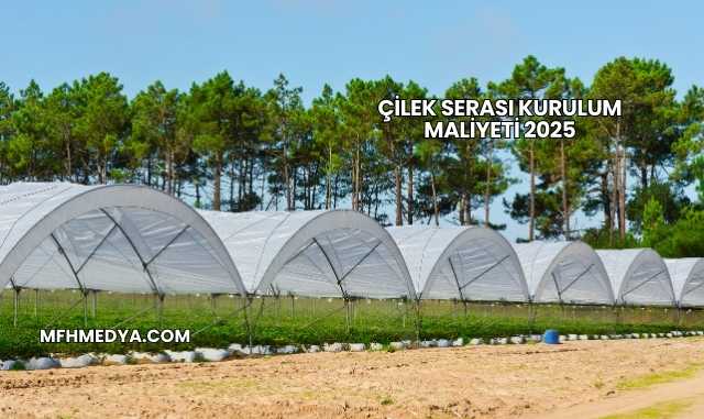 Çilek Serası Kurulum Maliyeti 2025