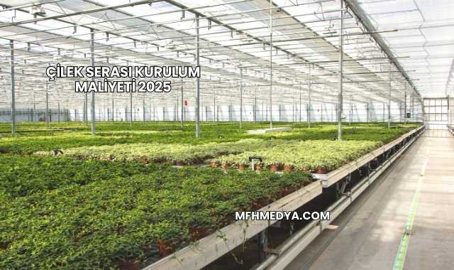 Çilek Serası Kurulum Maliyeti 2025