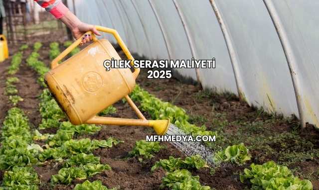 Çilek Serası Maliyeti 2025