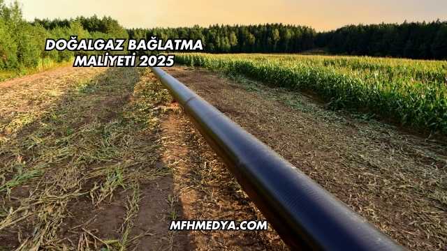 Doğalgaz Bağlatma Maliyeti 2025