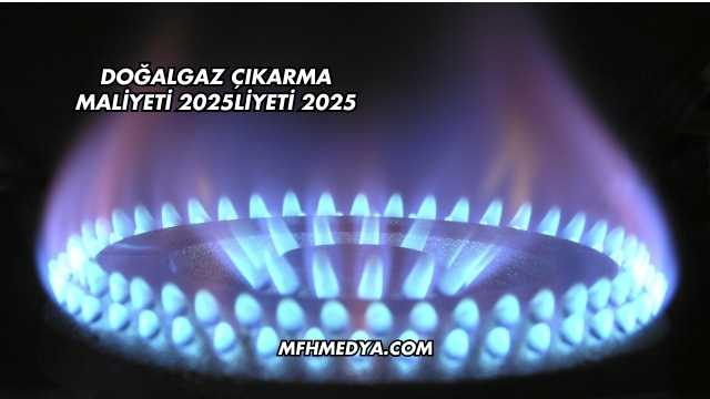 Doğalgaz Çıkarma Maliyeti 2025
