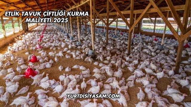 Etlik Tavuk Çiftliği Kurma Maliyeti 2025