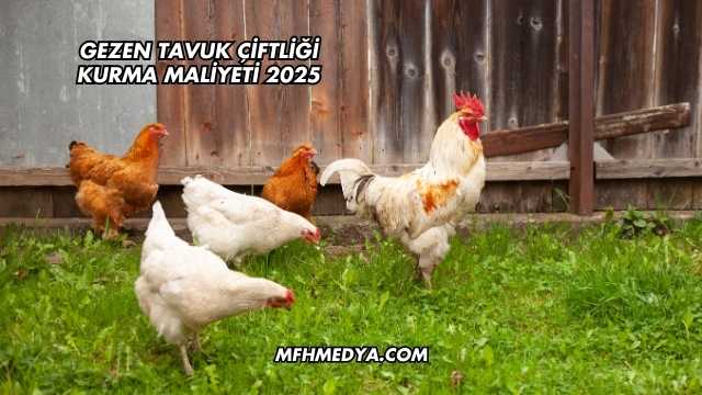 Gezen Tavuk Çiftliği Kurma Maliyeti 2025