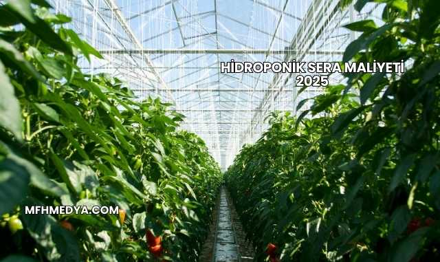 Hidroponik Sera Maliyeti 2025