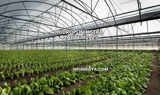 Hidroponik Sera Maliyeti 2025