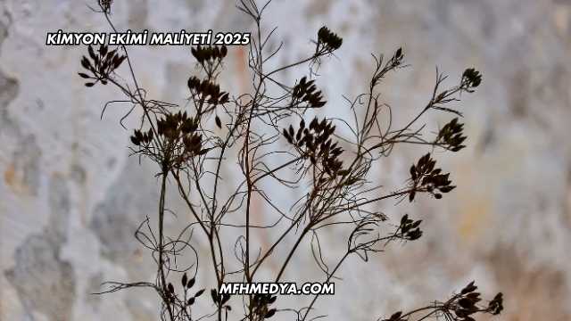 Kimyon Ekimi Maliyeti 2025