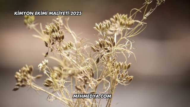 Kimyon Ekimi Maliyeti 2025