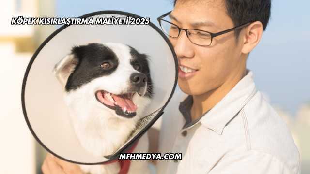 Köpek Kısırlaştırma Maliyeti 2025