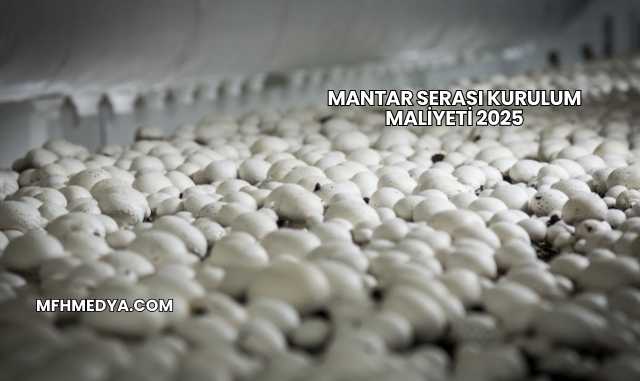 Mantar Serası Kurulum Maliyeti 2025