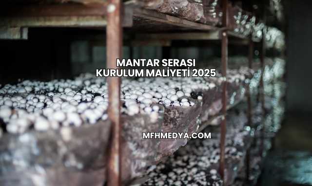 Mantar Serası Kurulum Maliyeti 2025