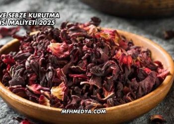 Meyve Sebze Kurutma Tesisi Maliyeti 2025