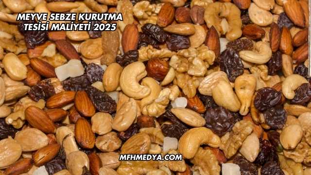 Meyve Sebze Kurutma Tesisi Maliyeti 2025