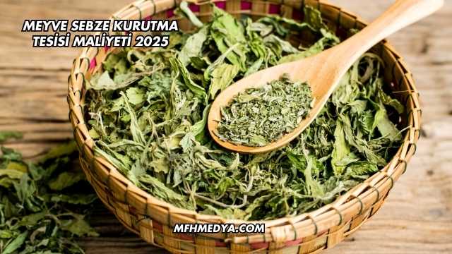 Meyve Sebze Kurutma Tesisi Maliyeti 2025
