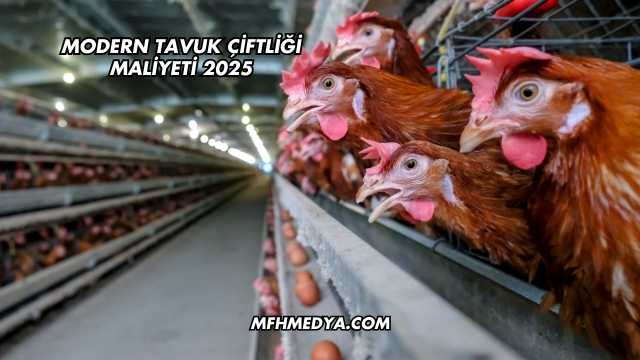 Modern Tavuk Çiftliği Maliyeti 2025