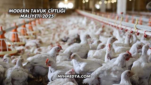 Modern Tavuk Çiftliği Maliyeti 2025