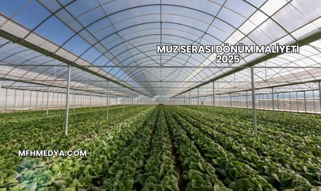 Muz Serası Dönüm Maliyeti 2025