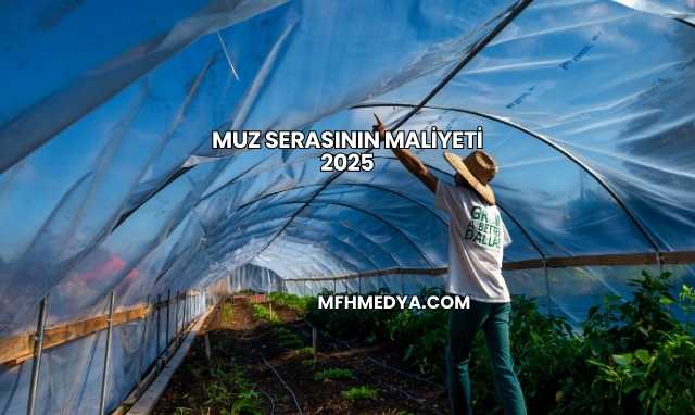 Muz Serasının Maliyeti 2025